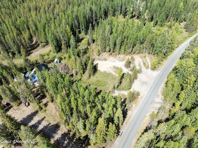 1 Kalispell Creek Ests, Priest Lake, ID 83856