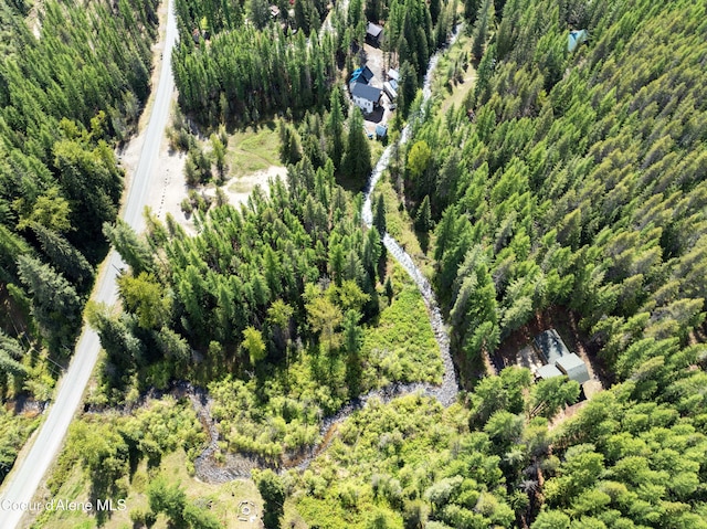 1 Kalispell Creek Ests, Priest Lake, ID 83856