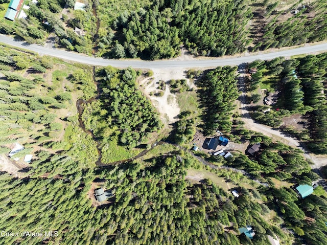 1 Kalispell Creek Ests, Priest Lake, ID 83856