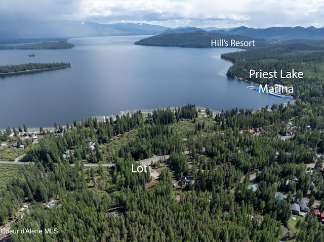 1 Kalispell Creek Ests, Priest Lake, ID 83856