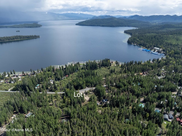 1 Kalispell Creek Ests, Priest Lake, ID 83856