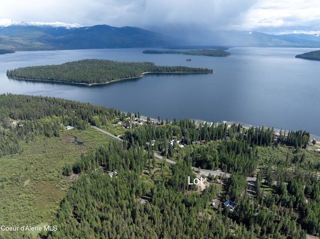 1 Kalispell Creek Ests, Priest Lake, ID 83856