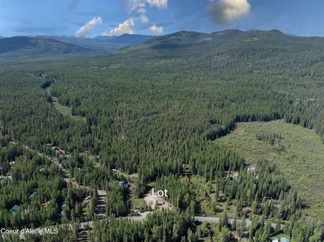 1 Kalispell Creek Ests, Priest Lake, ID 83856