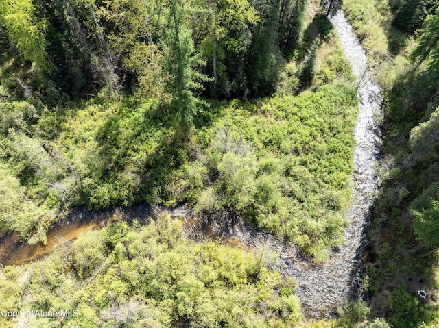 1 Kalispell Creek Ests, Priest Lake, ID 83856