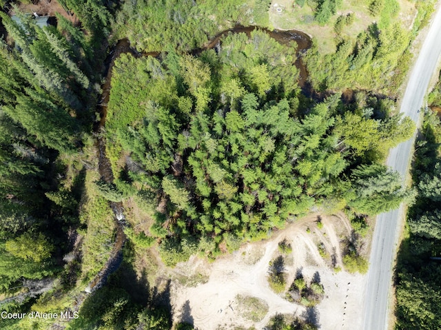1 Kalispell Creek Ests, Priest Lake, ID 83856