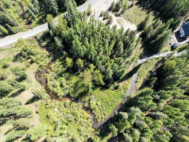 1 Kalispell Creek Ests, Priest Lake, ID 83856