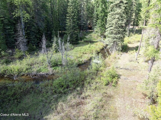 1 Kalispell Creek Ests, Priest Lake, ID 83856