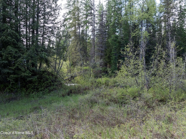 1 Kalispell Creek Ests, Priest Lake, ID 83856