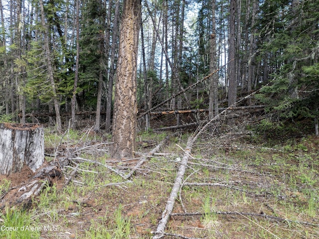 1 Kalispell Creek Ests, Priest Lake, ID 83856