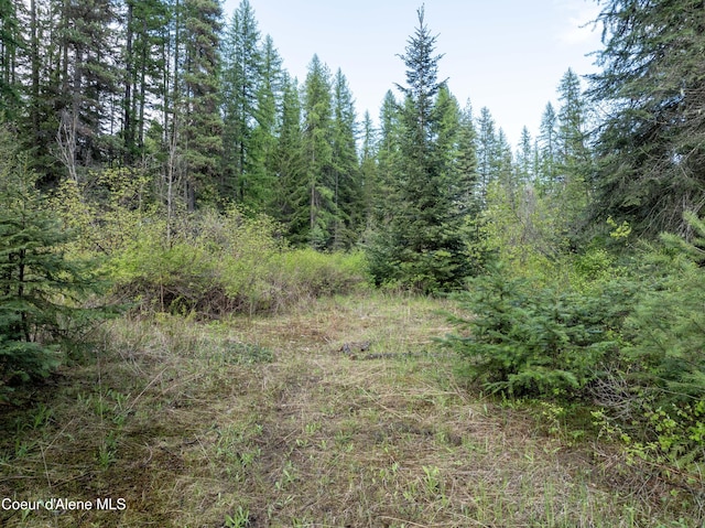 1 Kalispell Creek Ests, Priest Lake, ID 83856