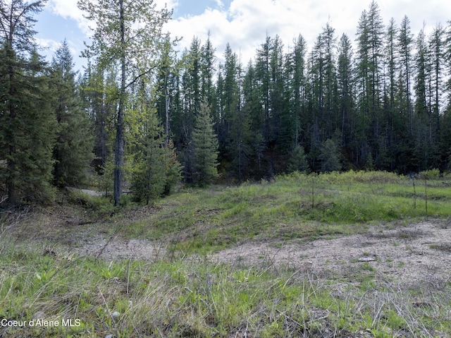 1 Kalispell Creek Ests, Priest Lake, ID 83856
