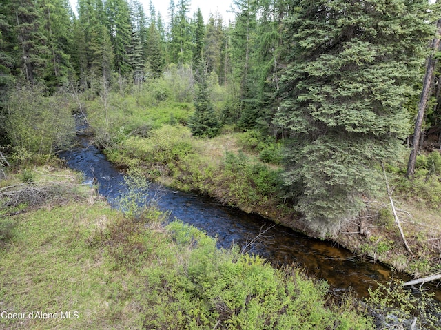 1 Kalispell Creek Ests, Priest Lake, ID 83856
