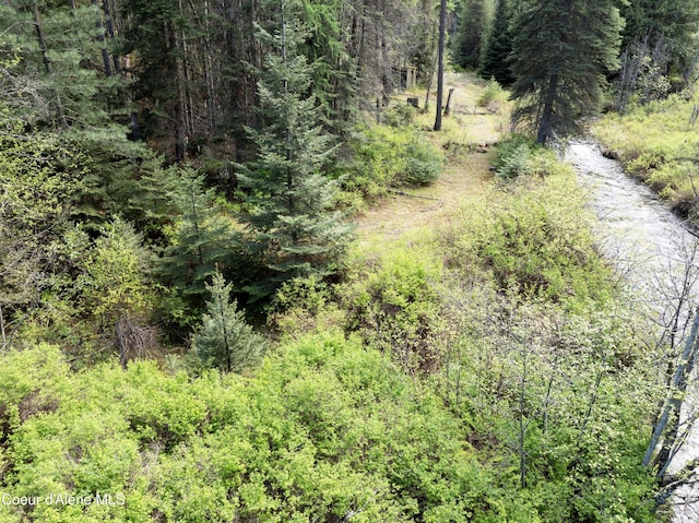 1 Kalispell Creek Ests, Priest Lake, ID 83856