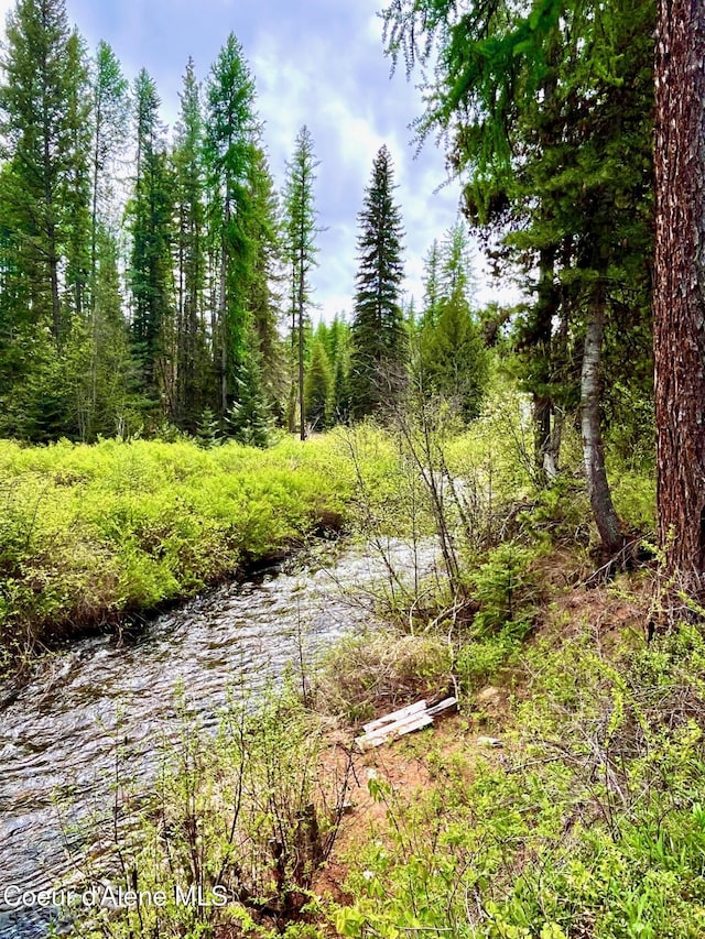 1 Kalispell Creek Ests, Priest Lake, ID 83856