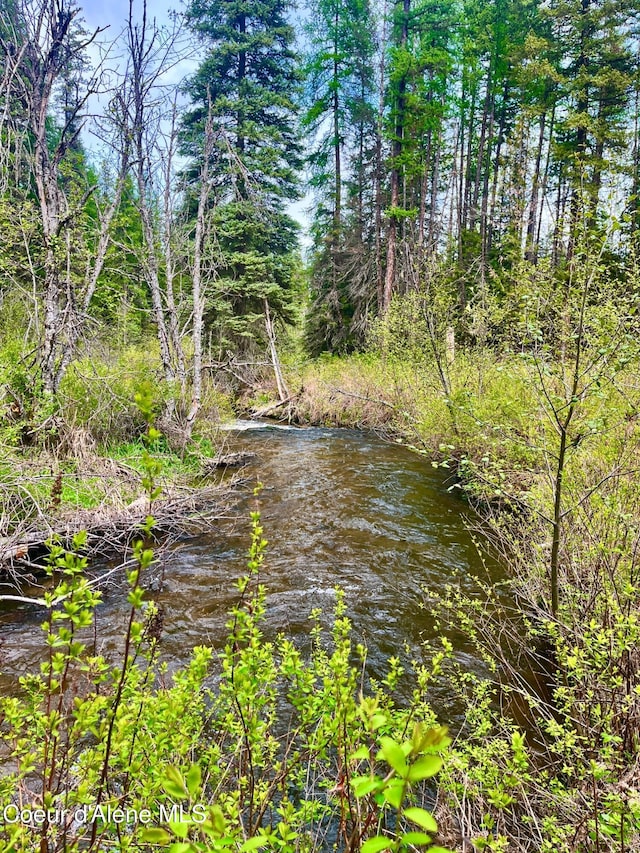 1 Kalispell Creek Ests, Priest Lake, ID 83856