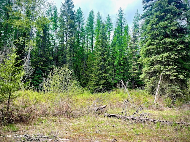 1 Kalispell Creek Ests, Priest Lake, ID 83856