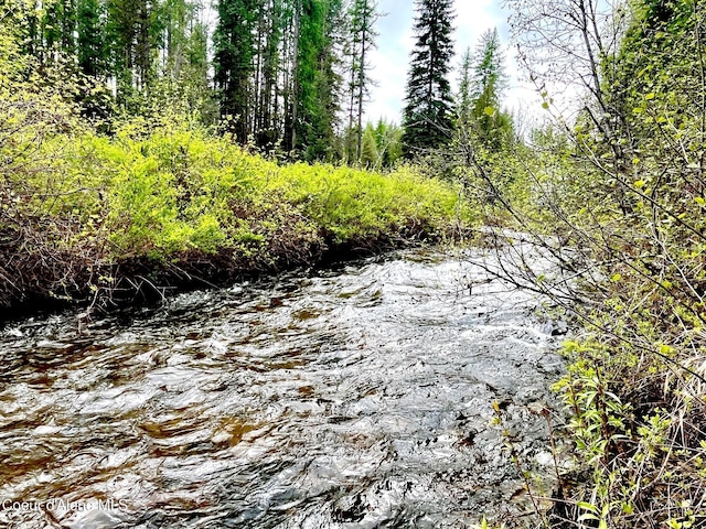 1 Kalispell Creek Ests, Priest Lake, ID 83856