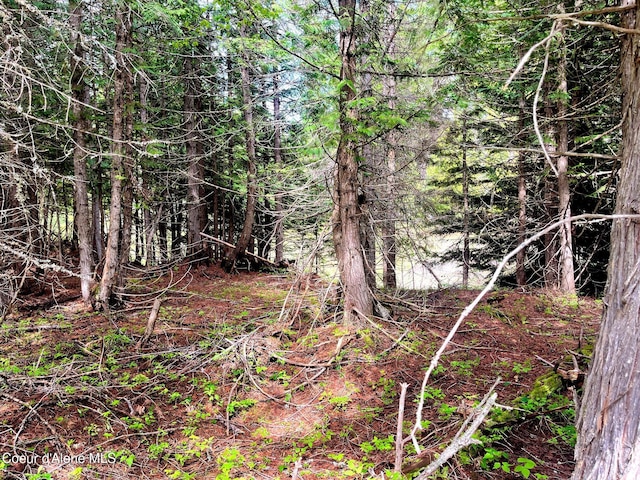 1 Kalispell Creek Ests, Priest Lake, ID 83856