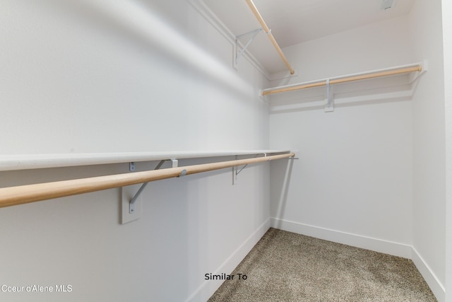 691 N Creative Way, Post Falls, ID 83854 - walk in closet featuring carpet floors