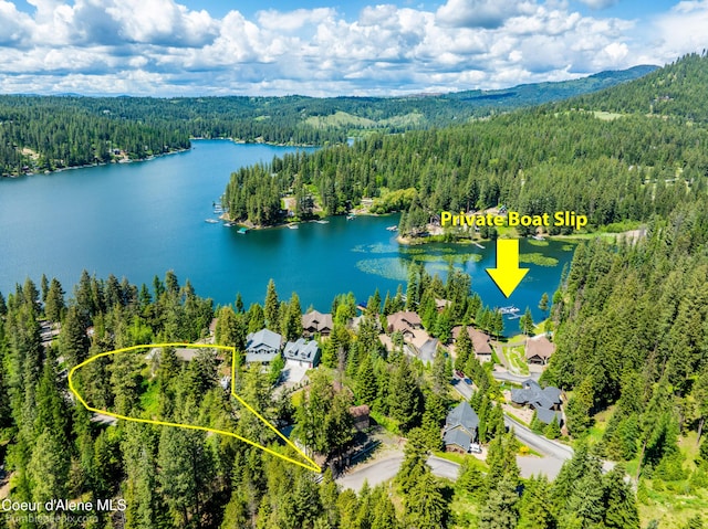 7485 E Revilo Point Rd, Hayden, ID 83835 - aerial perspective of suburban area featuring a forest, property parcel outlined, and a large body of water