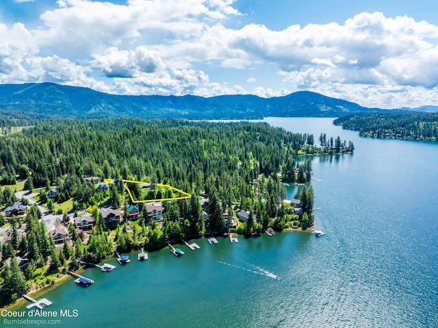 7485 E Revilo Point Rd, Hayden, ID 83835 - bird's eye view of a forest and a water and mountain view
