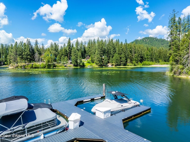 7485 E Revilo Point Rd, Hayden, ID 83835 - dock featuring a water view and a wooded view