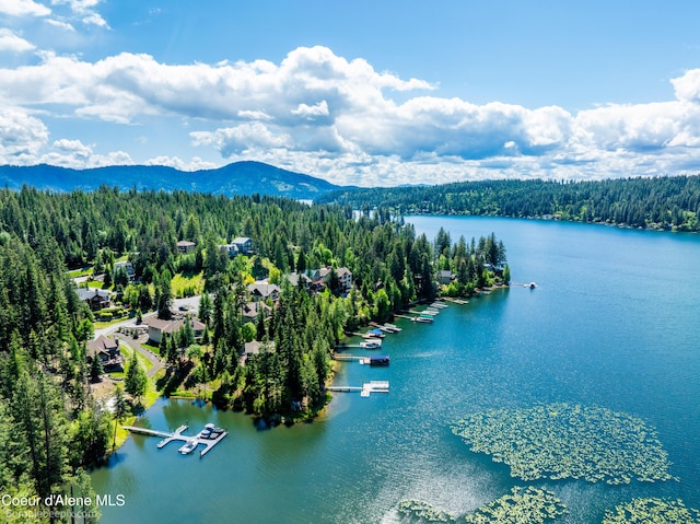 7485 E Revilo Point Rd, Hayden, ID 83835 - drone / aerial view of a forest and a water and mountain view