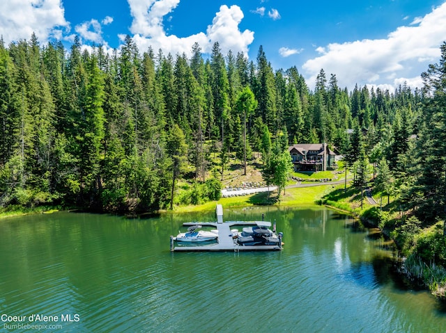 7485 E Revilo Point Rd, Hayden, ID 83835 - water view featuring a dock and a heavily wooded area