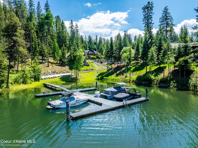 7485 E Revilo Point Rd, Hayden, ID 83835 - dock area with a water view