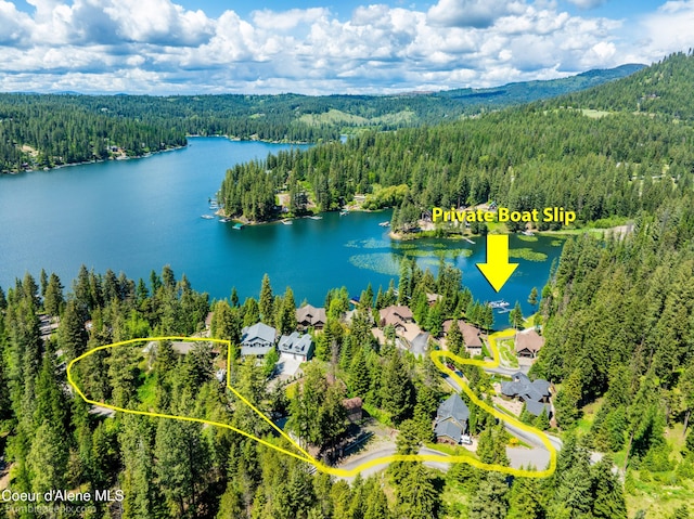 7485 E Revilo Point Rd, Hayden, ID 83835 - view of property location with a forest, property boundaries highlighted, and a large body of water