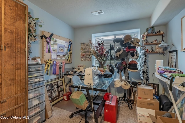 222 E Remington Rd, Athol, ID 83801 - office space with a textured ceiling