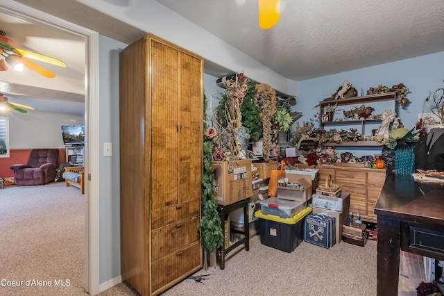 222 E Remington Rd, Athol, ID 83801 - storage with a ceiling fan