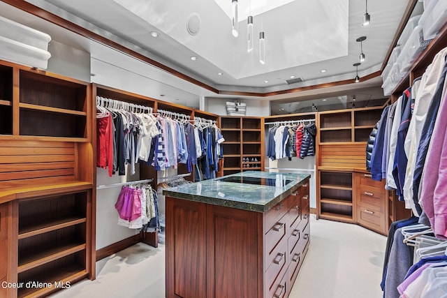 2051 S Island Green Dr, Coeur Dalene, ID 83814 - view of spacious closet