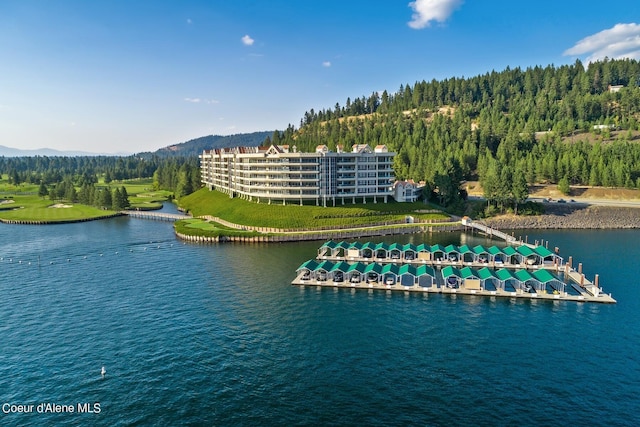 2051 S Island Green Dr, Coeur Dalene, ID 83814 - bird's eye view of a large body of water and a heavily wooded area