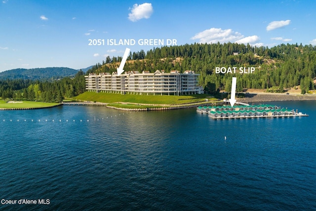 2051 S Island Green Dr, Coeur Dalene, ID 83814 - water view featuring a forest