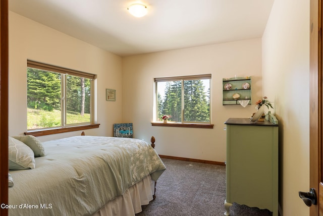17378 N Freddi Rd, Rathdrum, ID 83858 - bedroom with carpet floors and baseboards