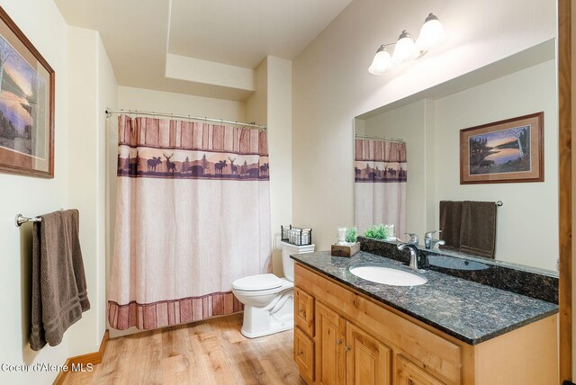 17378 N Freddi Rd, Rathdrum, ID 83858 - full bathroom with wood finished floors, vanity, toilet, and a shower with curtain