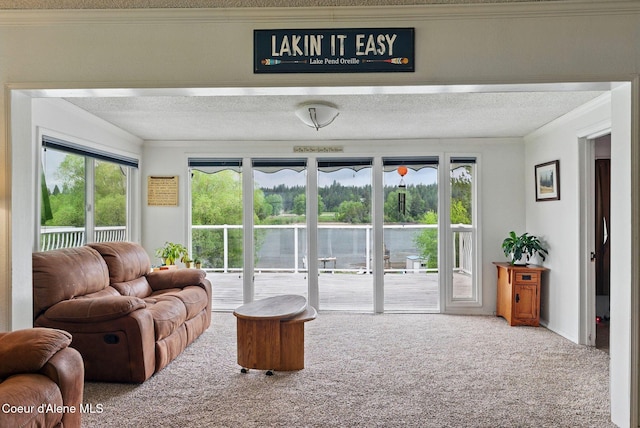 291 Comeback Bay Ln, Sagle, ID 83860 - carpeted living room with a textured ceiling and crown molding