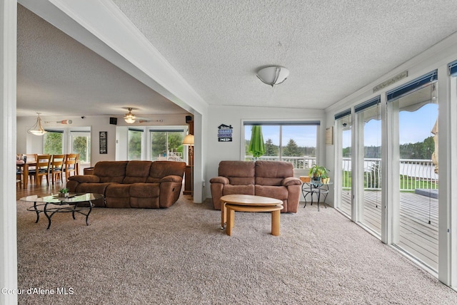 291 Comeback Bay Ln, Sagle, ID 83860 - carpeted living room featuring a textured ceiling and ceiling fan