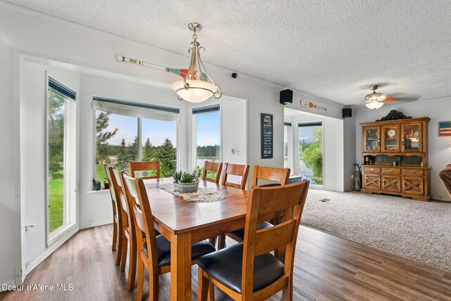 291 Comeback Bay Ln, Sagle, ID 83860 - dining space with a textured ceiling, plenty of natural light, wood finished floors, and a ceiling fan
