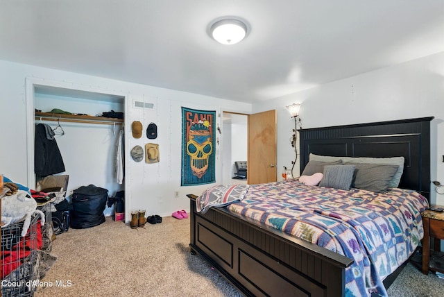291 Comeback Bay Ln, Sagle, ID 83860 - bedroom featuring carpet floors and a closet