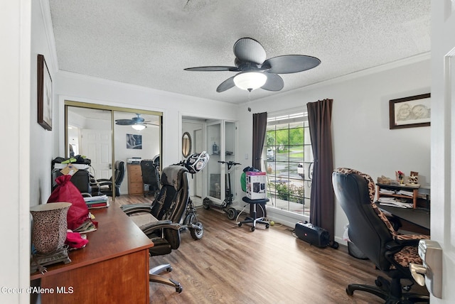 291 Comeback Bay Ln, Sagle, ID 83860 - home office featuring a ceiling fan, a textured ceiling, wood finished floors, and ornamental molding