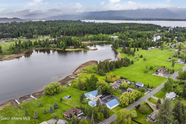 291 Comeback Bay Ln, Sagle, ID 83860 - drone / aerial view of a heavily wooded area and a nearby body of water