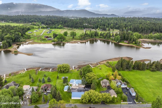 291 Comeback Bay Ln, Sagle, ID 83860 - drone / aerial view of a heavily wooded area and a water and mountain view