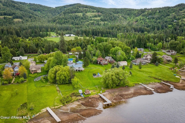 291 Comeback Bay Ln, Sagle, ID 83860 - drone / aerial view of a forest