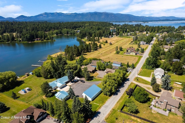 291 Comeback Bay Ln, Sagle, ID 83860 - photo 15