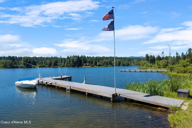 291 Comeback Bay Ln, Sagle, ID 83860 - photo 9