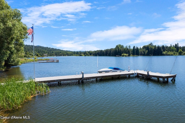 291 Comeback Bay Ln, Sagle, ID 83860 - photo 10