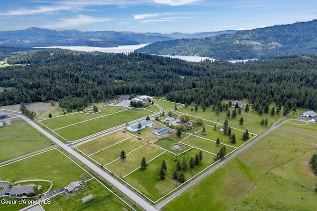 7104 W Kidd Island Rd, Coeur Dalene, ID 83814 - drone / aerial view of a forest and a water and mountain view