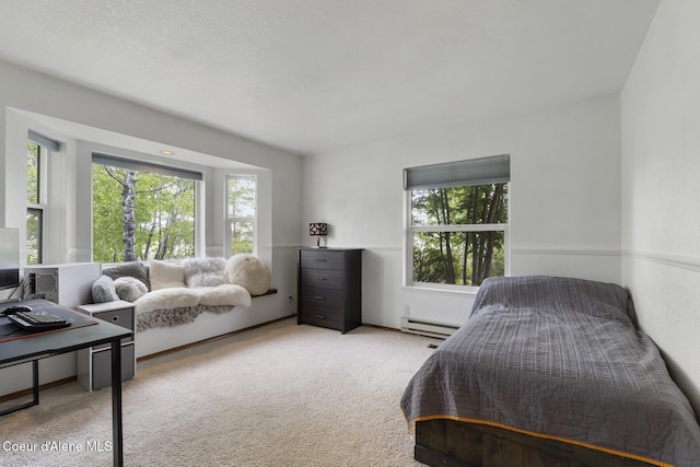 7104 W Kidd Island Rd, Coeur Dalene, ID 83814 - bedroom with a baseboard heating unit and carpet floors